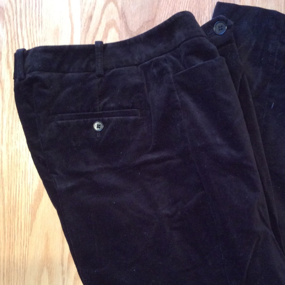 Talbots velveteen pant ⭐️ the best ⭐️ curvy fit pant