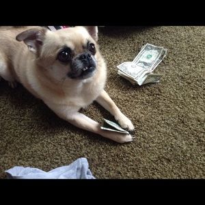 Meet your Posher, Kai