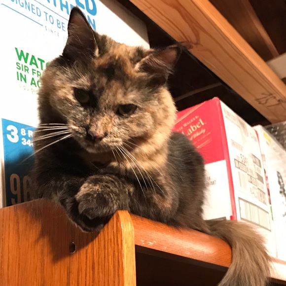 Meet your posher - Picture 2 of 2