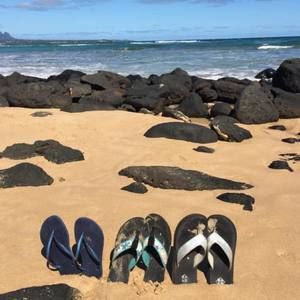 Meet your Posher, Sandra