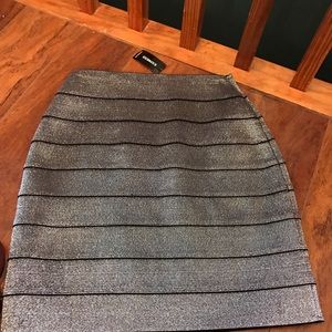 Express small skirt