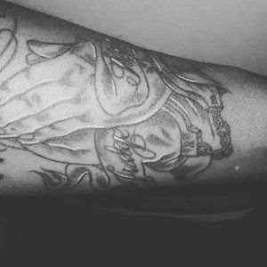 Meet your Posher, Elroy