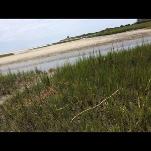 Meet your Posher, Kendall