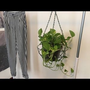 high waisted creme/black stripe pleated pant