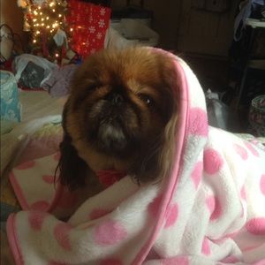 Meet your Posher, Lisa