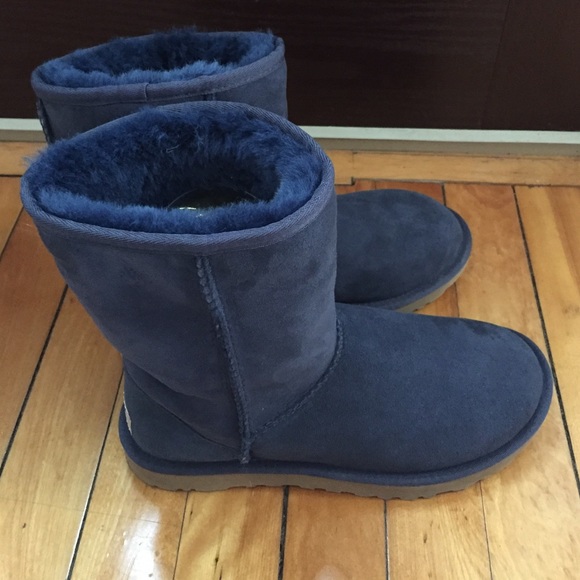 blue velvet uggs blue velvet uggs