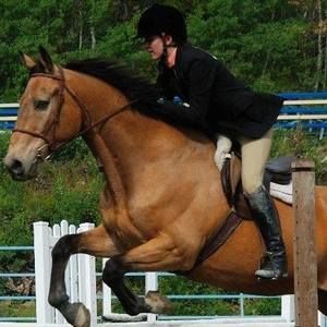 Meet your Posher, Leslie