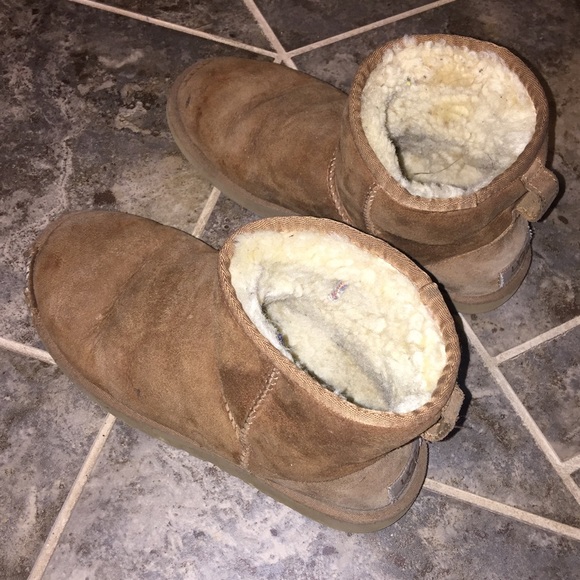 Shortie chestnut UGGS