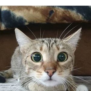 Meet your Posher, Charmaine