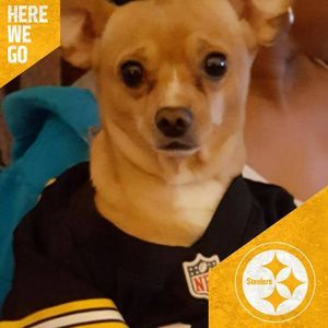 Meet your Posher, Erica