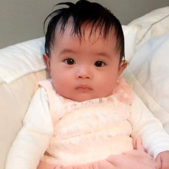 Meet your Posher, Simba - Picture 1 of 1