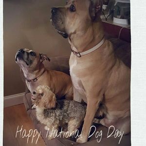 Meet your Posher, Tammy