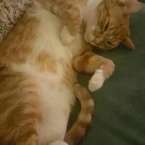 Meet your Posher, Danielle