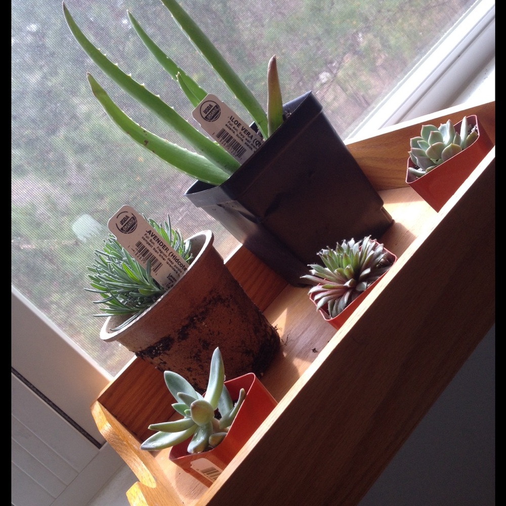 --Meet Me--🌻🌎🌚🌵