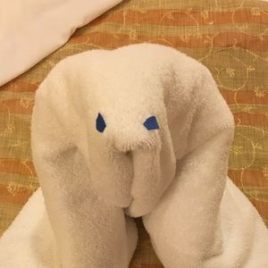 Meet your Posher, Xiaohong