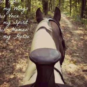 Meet your Posher, Ginger