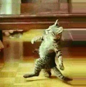 Meet your Posher, Danny