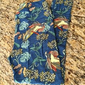Lularoe OS birds of paradise leggings