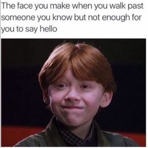 Meet your Posher, Rosie