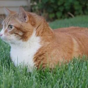 Meet your Posher, Denyce