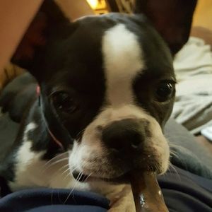 Meet your Posher, Mitzi