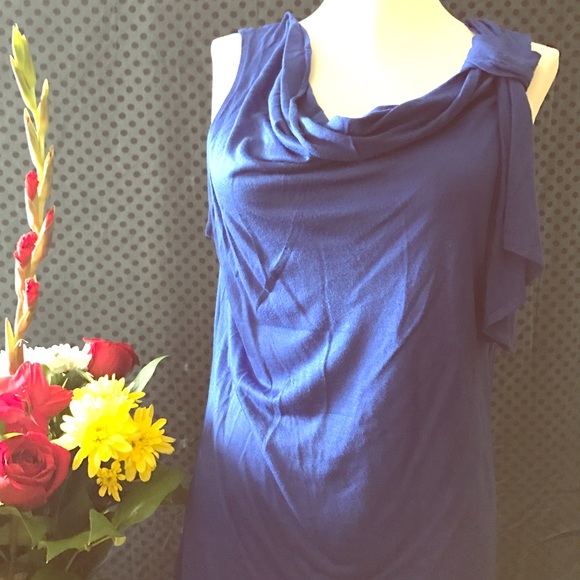 The limited professional officewear royal blue top