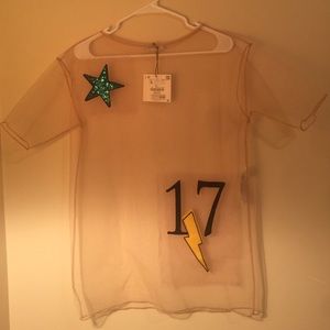 ZARA Mesh embroided Top