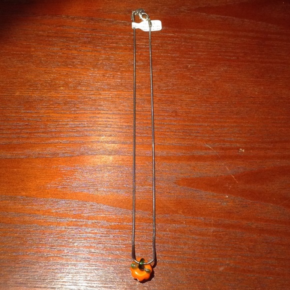 Rat Tail Necklace With Pitanga ( Tropical Fruit)