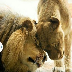 Meet your Posher, Juan carlos