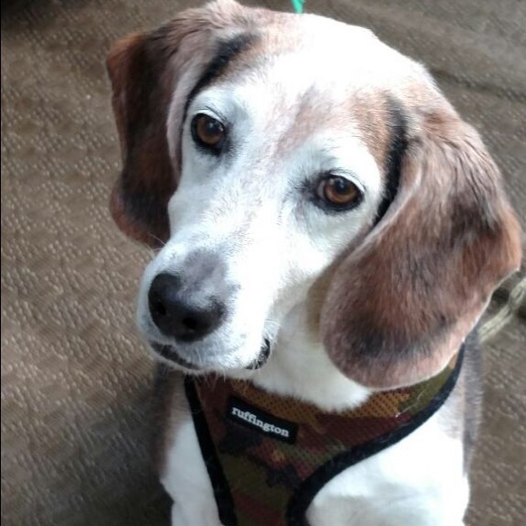 Meet your Posher, Natalie