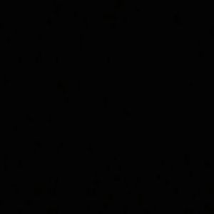 Meet your Posher, Ronny