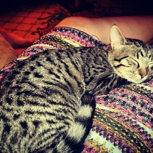 Meet your Posher, Vanessa