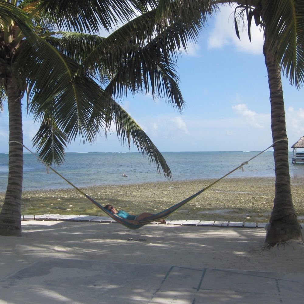 Meet your Posher, Carolyn