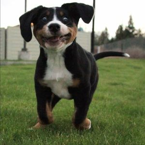 Meet your Posher, Tina