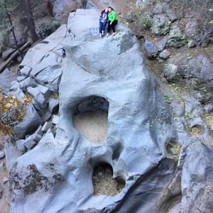 Meet your Posher, Flora