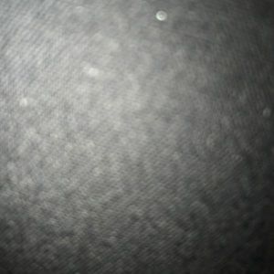 Meet your Posher, Veronica