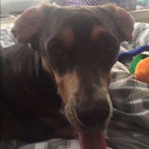 Meet your Posher, Katherine