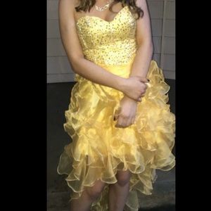 Winter ball dress!