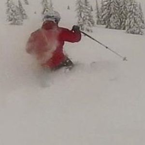 Meet your Posher, Collin