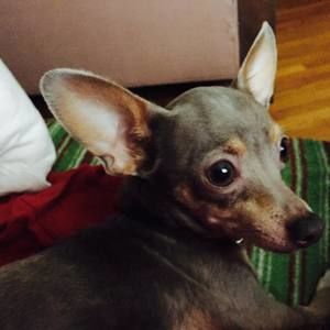 Meet your Posher, Dianna