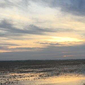 Meet your Posher, Kaitlynn