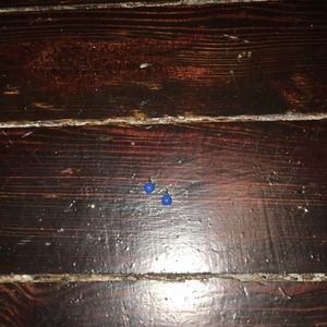 Big blue dot earrings