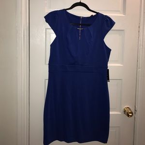Blue cap sleeve express dress Sz 12