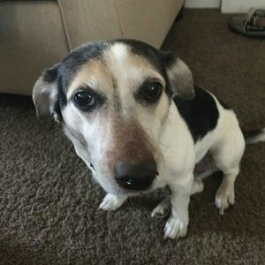 Meet your Posher, Gretchen