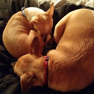 Meet your Posher, Joely