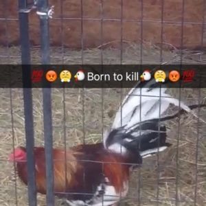 Meet your Posher, Jeremiah