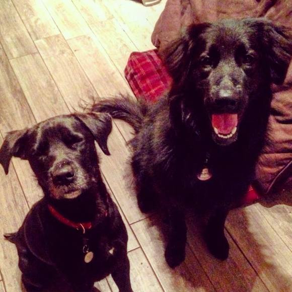 Meet your Posher, Ingrid