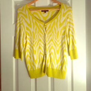 Express button down sweater