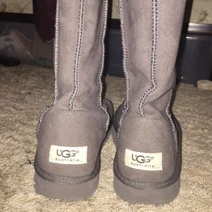 Tall uggs, new