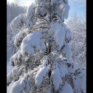 Meet your Posher, Yu